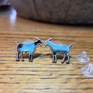 Silver With Blue And Black Leather Goat Earrings